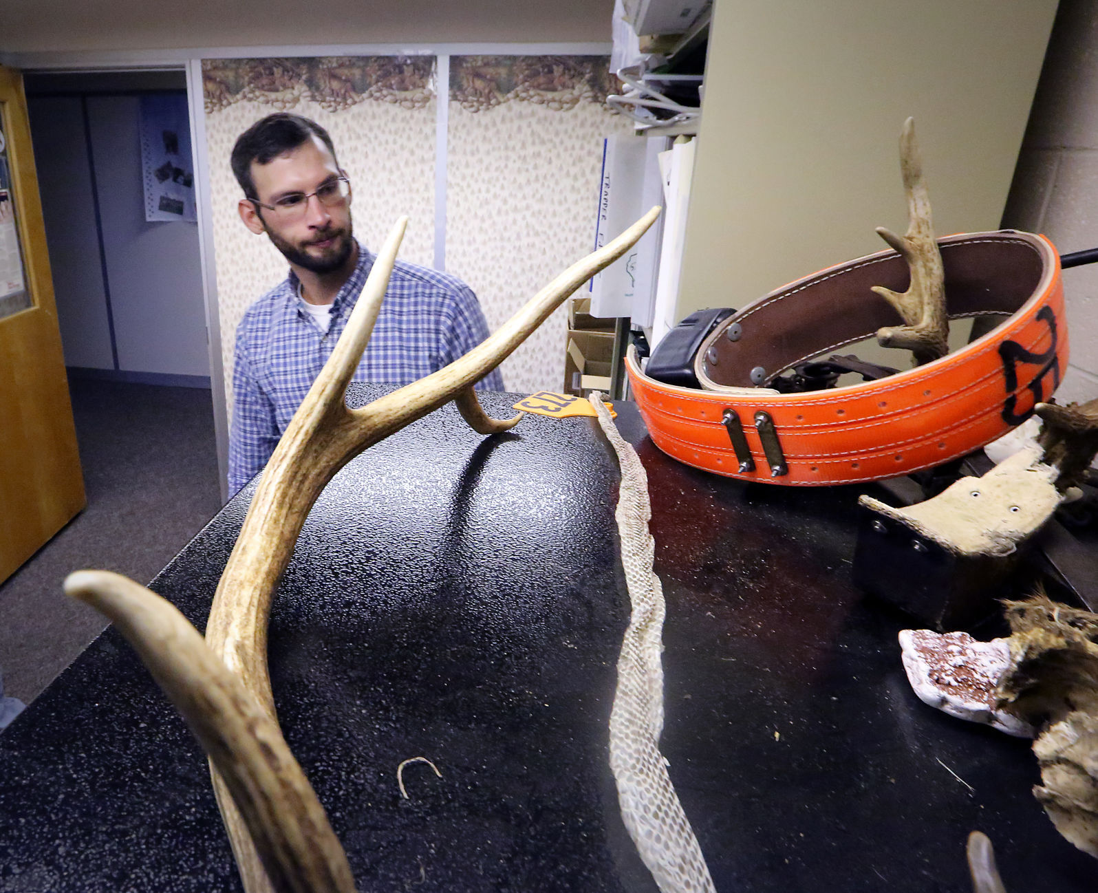 Elk Reintroduction 7-10072016162337